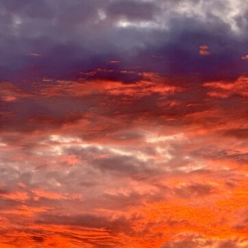 Social Media hat sich verändert – das musst du jetzt wissen!